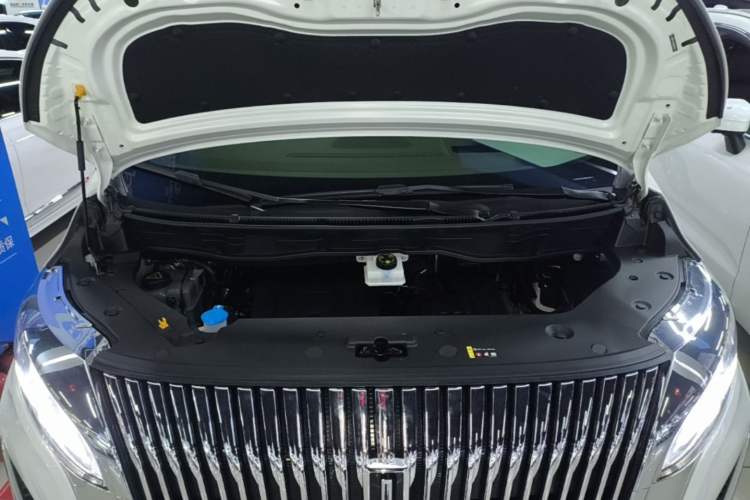 Used Wey Gaoshan 2025 Four-Wheel Drive Alpine 8 Engine Bay