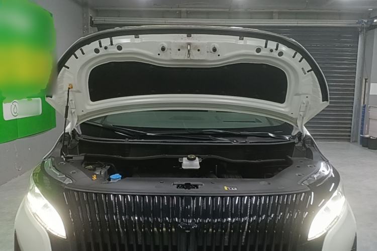 Used Wey Gaoshan 2025 Four-Wheel Drive Alpine 8 Engine Bay