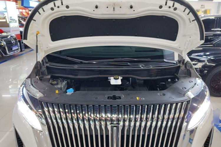 Used Wey Gaoshan 2025 Four-Wheel Drive Alpine 8 Engine Bay