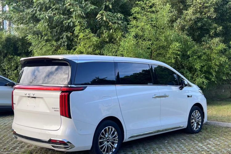 Used Wey Gaoshan 2025 Model Four-Wheel Drive Gao Shan 7 Exterior 2