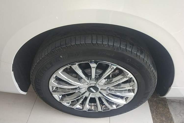 Used Wey Gaoshan 2025 Four-Wheel Drive Alpine 8 Exterior 5