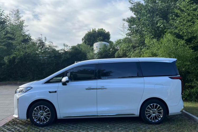 Used Wey Gaoshan 2025 Model Four-Wheel Drive Gao Shan 7 Exterior 5