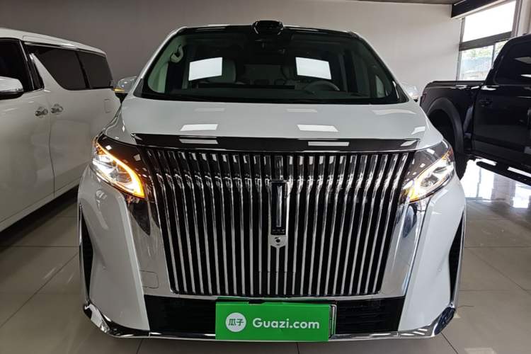 Used Wey Gaoshan 2025 Four-Wheel Drive Alpine 8 Front