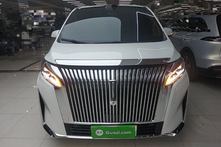 Used Wey Gaoshan 2025 Four-Wheel Drive Alpine 8 Front