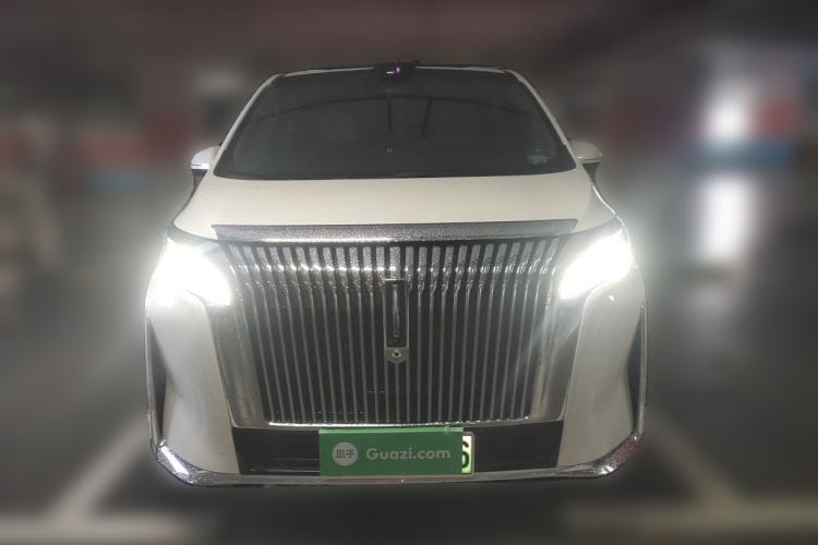 Used Wey Gaoshan 2025 Four-Wheel Drive Alpine 8 Front