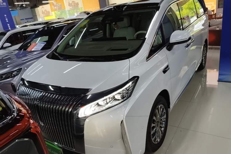 Used Wey Gaoshan 2025 Four-Wheel Drive Alpine 8 Front