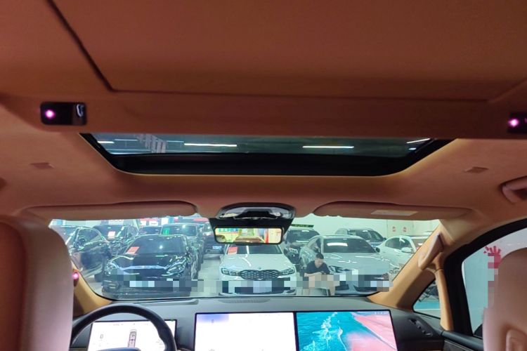 Used Wey Gaoshan 2025 Four-Wheel Drive Alpine 8 Headliner