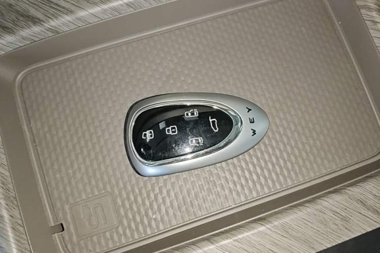 Used Wey Gaoshan 2025 Four-Wheel Drive Alpine 8 Interior 1