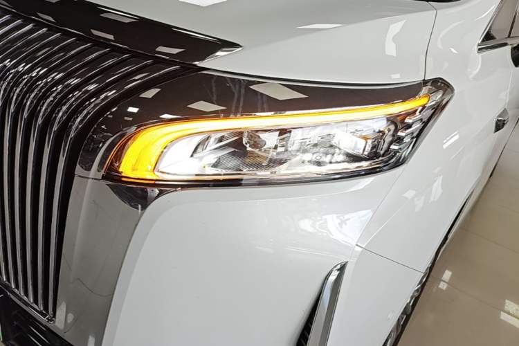 Used Wey Gaoshan 2025 Four-Wheel Drive Alpine 8 Left Front Headlight