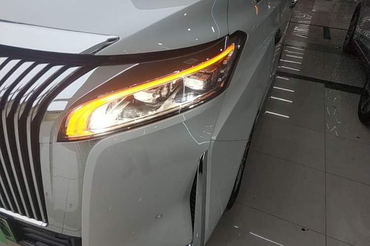 Used Wey Gaoshan 2025 Four-Wheel Drive Alpine 8 Left Front Headlight