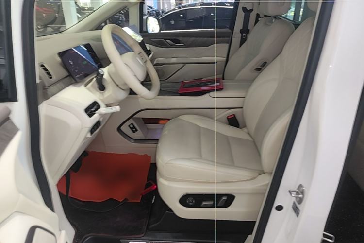 Used Wey Gaoshan 2025 Four-Wheel Drive Alpine 8 Left Front Seat