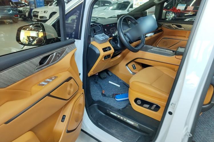 Used Wey Gaoshan 2025 Four-Wheel Drive Alpine 8 Left Front Seat