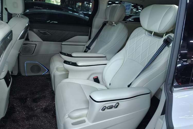 Used Wey Gaoshan 2025 Four-Wheel Drive Alpine 8 Left Rear Seat