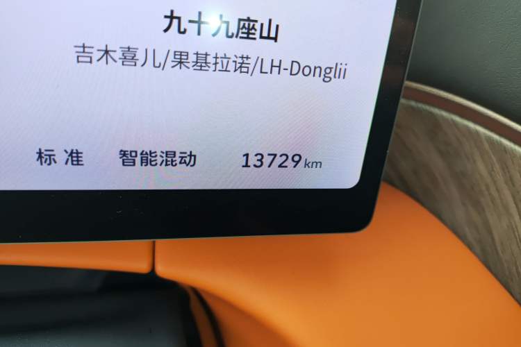Used Wey Gaoshan 2025 Four-Wheel Drive Alpine 8 Odometer Close Up