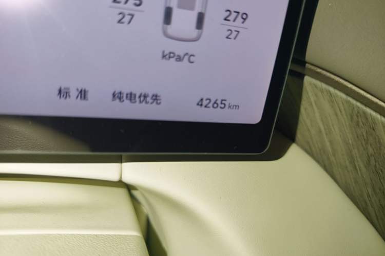 Used Wey Gaoshan 2025 Four-Wheel Drive Alpine 8 Odometer Close Up
