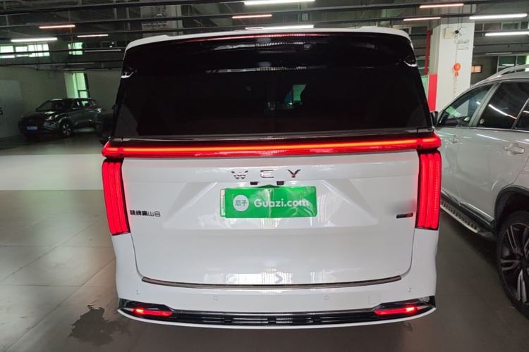 Used Wey Gaoshan 2025 Four-Wheel Drive Alpine 8 Rear