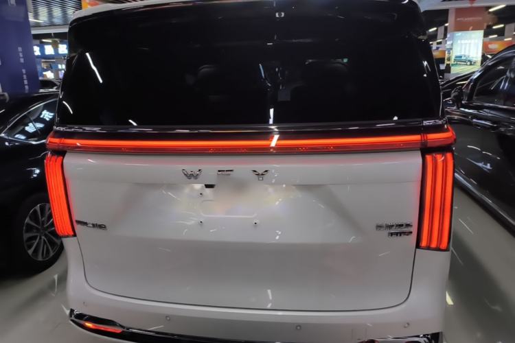 Used Wey Gaoshan 2025 Four-Wheel Drive Alpine 8 Rear
