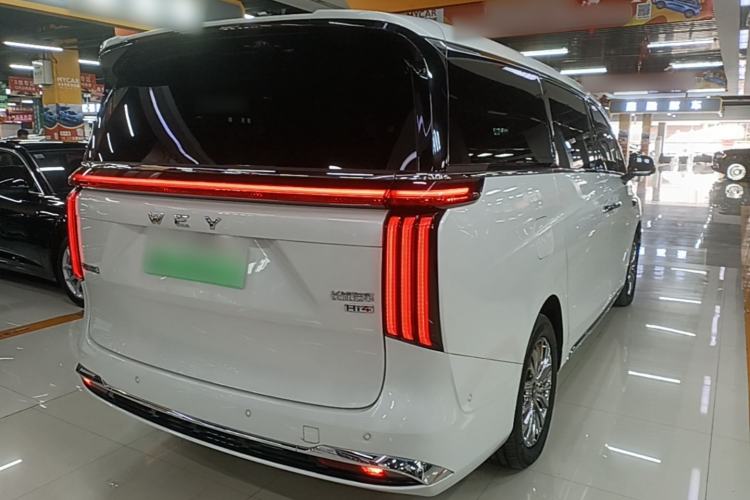 Used Wey Gaoshan 2025 Four-Wheel Drive Alpine 8 Rear Right 45 Deg