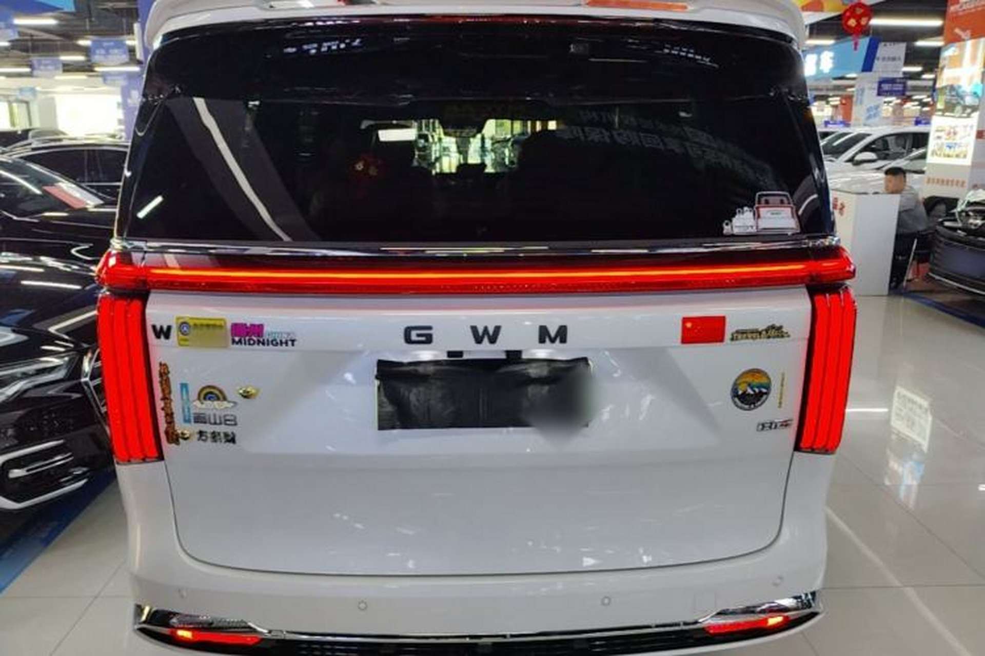 Used Wey Gaoshan 2025 Four-Wheel Drive Alpine 8 Rear