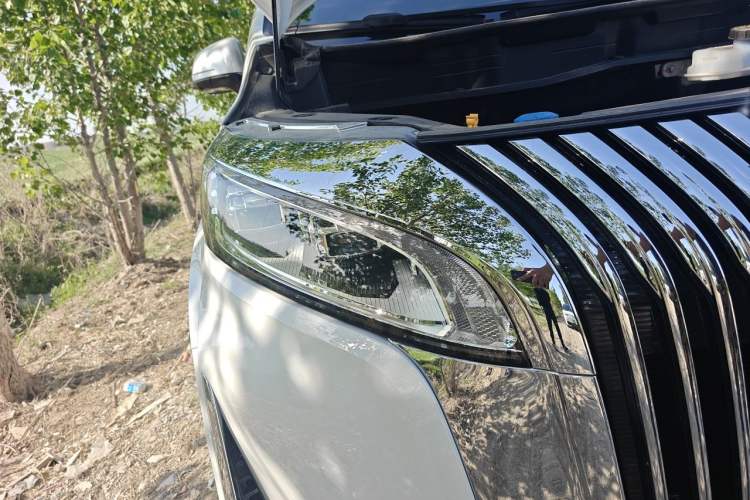 Used Wey Gaoshan 2025 Four-Wheel Drive Alpine 8 Right Front Headlight
