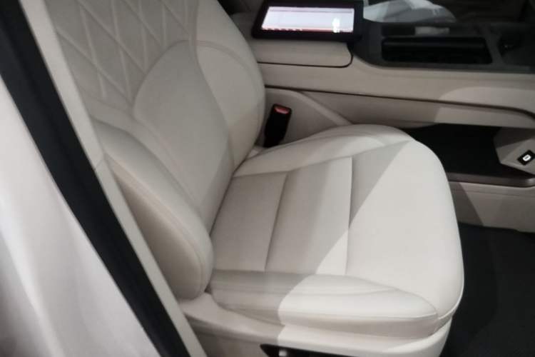 Used Wey Gaoshan 2025 Four-Wheel Drive Alpine 8 Right Front Seat