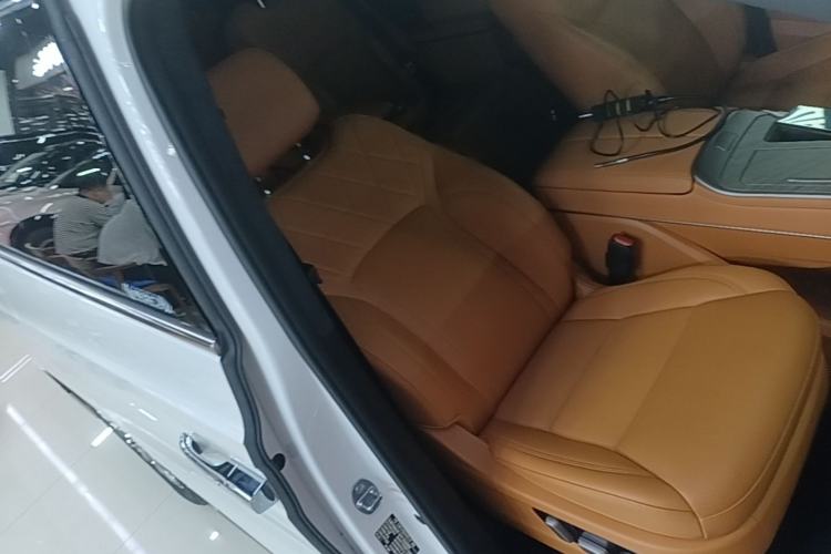 Used Wey Gaoshan 2025 Four-Wheel Drive Alpine 8 Right Front Seat