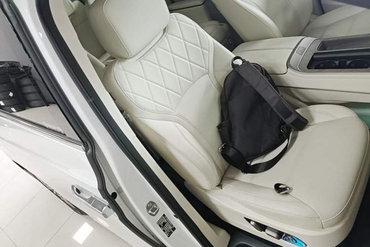 Used Wey Gaoshan 2025 Four-Wheel Drive Alpine 8 Right Front Seat