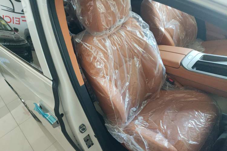 Used Wey Gaoshan 2025 Four-Wheel Drive Alpine 8 Right Front Seat