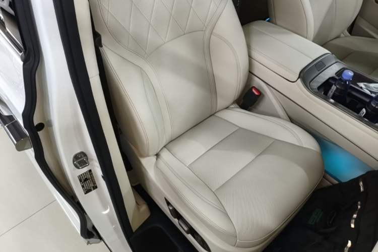Used Wey Gaoshan 2025 Four-Wheel Drive Alpine 8 Right Front Seat