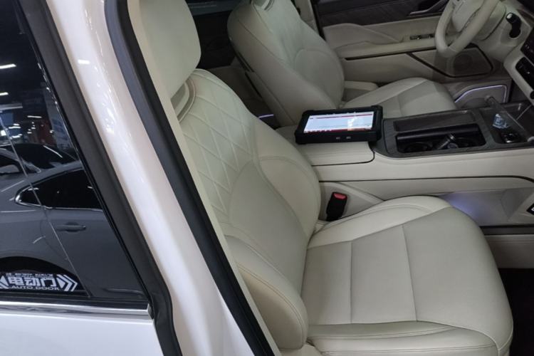 Used Wey Gaoshan 2025 Four-Wheel Drive Alpine 8 Right Front Seat