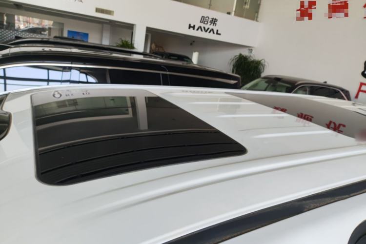 Used Wey Gaoshan 2025 Four-Wheel Drive Alpine 8 Roof