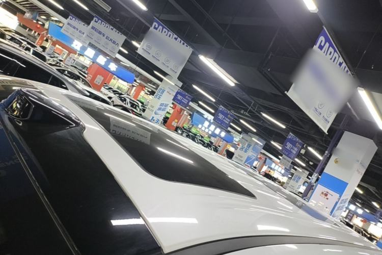Used Wey Gaoshan 2025 Four-Wheel Drive Alpine 8 Roof