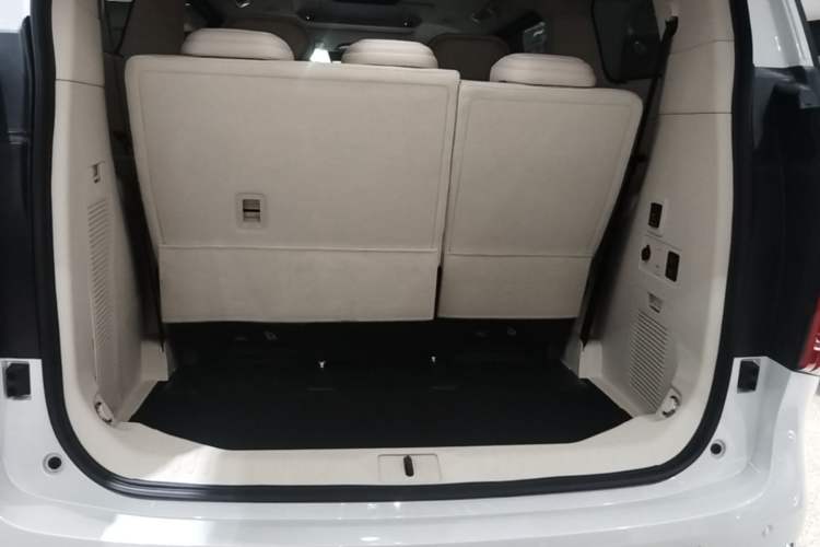 Used Wey Gaoshan 2025 Four-Wheel Drive Alpine 8 Trunk