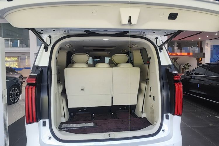 Used Wey Gaoshan 2025 Four-Wheel Drive Alpine 8 Trunk