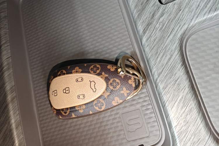 Used Wey Gaoshan 2025 Four-Wheel Drive Alpine 8 Vehicle Key