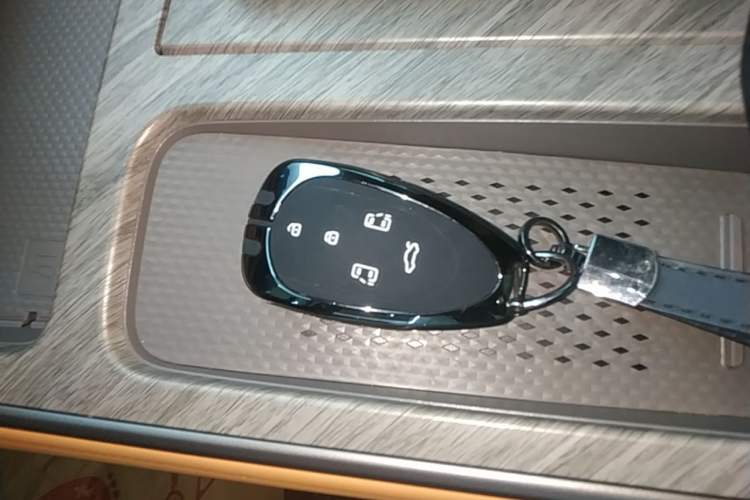 Used Wey Gaoshan 2025 Four-Wheel Drive Alpine 8 Vehicle Key