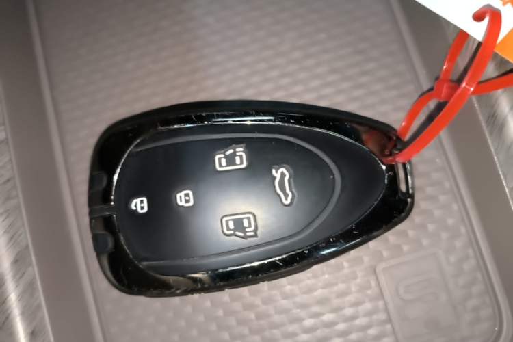 Used Wey Gaoshan 2025 Four-Wheel Drive Alpine 8 Vehicle Key