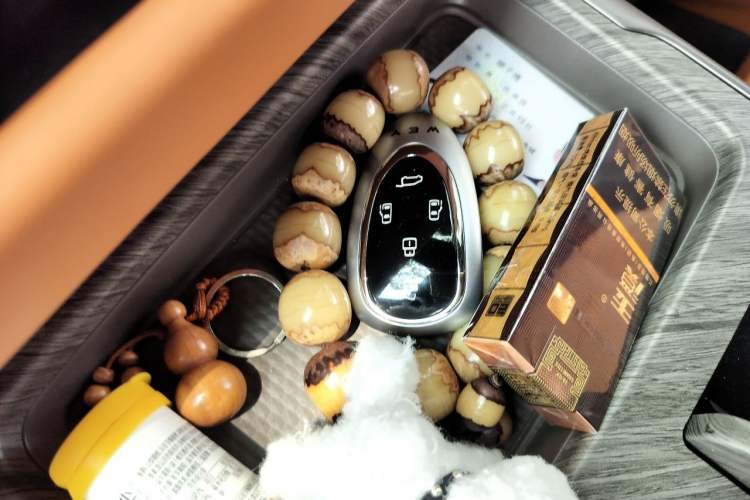 Used Wey Gaoshan 2025 Four-Wheel Drive Alpine 8 Vehicle Key