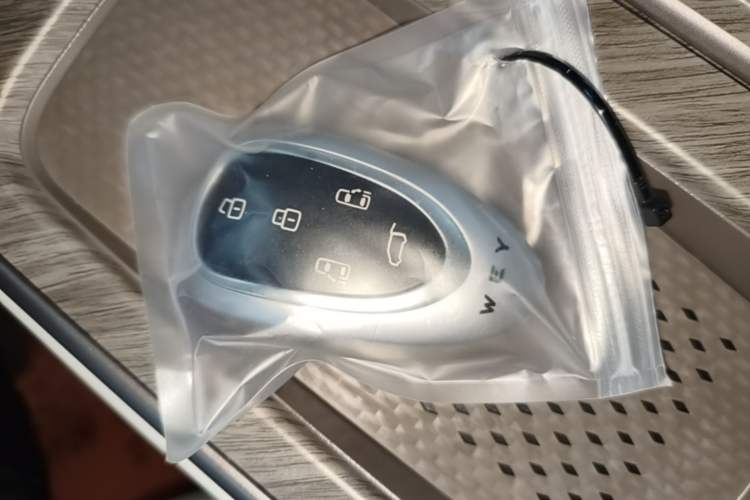 Used Wey Gaoshan 2025 Four-Wheel Drive Alpine 8 Vehicle Key
