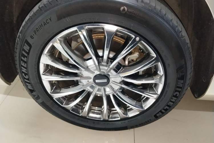 Used Wey Gaoshan 2025 Four-Wheel Drive Alpine 8 Exterior 5
