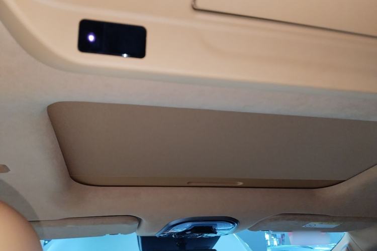 Used Wey Gaoshan 2025 Four-Wheel Drive Alpine 8 Headliner