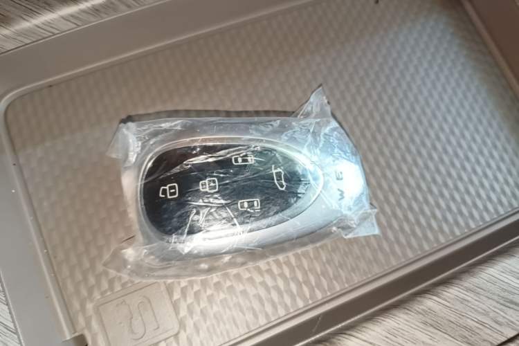 Used Wey Gaoshan 2026 Model Four-Wheel Drive Gaoshan 7 SUV Edition Vehicle Key