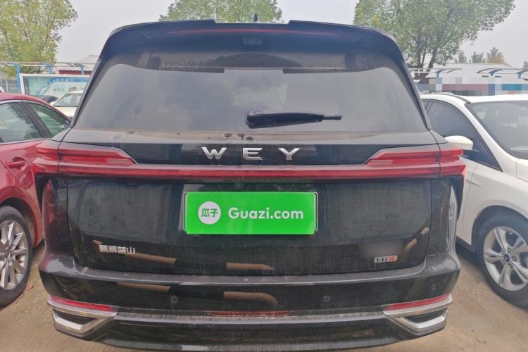 Used Wey Lanshan 2025 Four-Wheel Drive Ultra Exterior 4