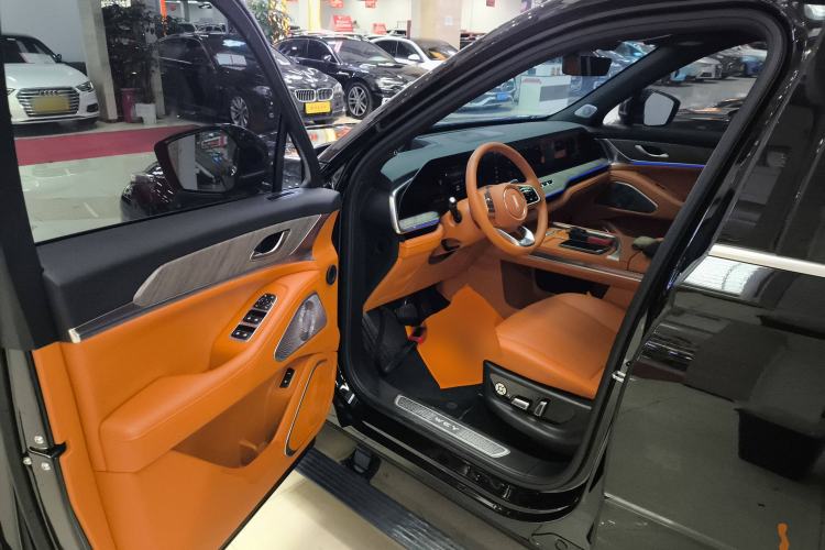 Used Wey Lanshan 2023 Four-Wheel Drive Ultra-Long Range Version Driver Seat