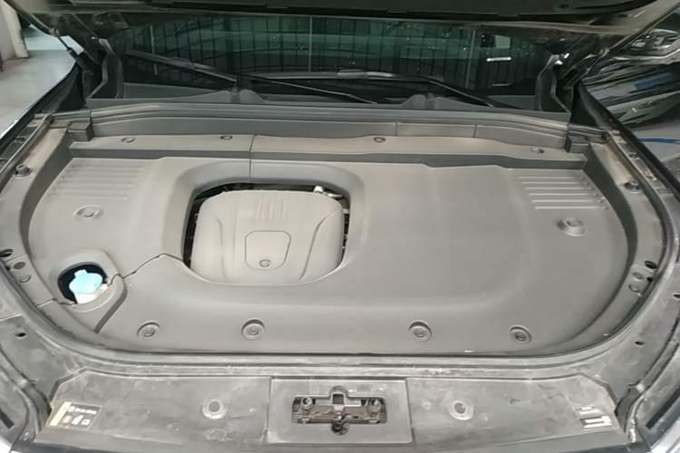Used Wey Lanshan 2023 Four-Wheel Drive Ultra-Long Range Version Engine Bay