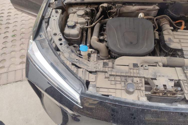 Used Wey Lanshan 2023 Four-Wheel Drive Ultra-Long Range Version Engine Bay Right