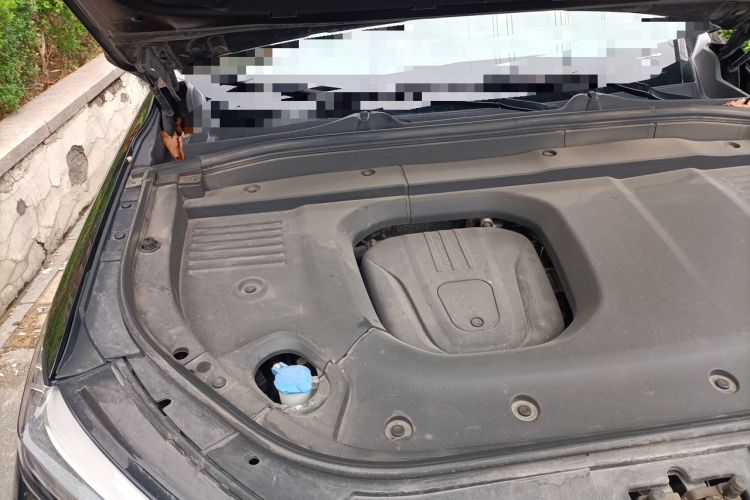 Used Wey Lanshan 2023 Four-Wheel Drive Ultra-Long Range Version Engine Bay Right