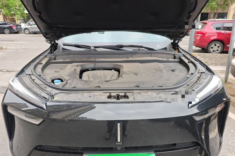 Used Wey Lanshan 2023 Four-Wheel Drive Ultra-Long Range Version Engine Bay