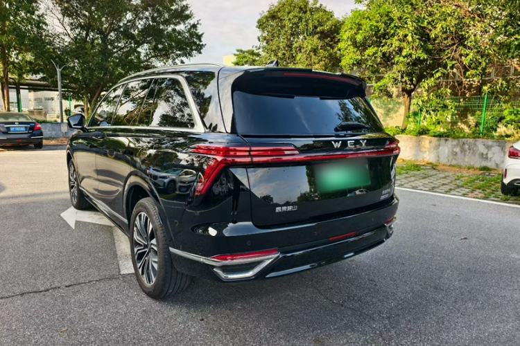 Used Wey Lanshan 2023 Four-Wheel Drive Ultra-Long Range Version Exterior 5