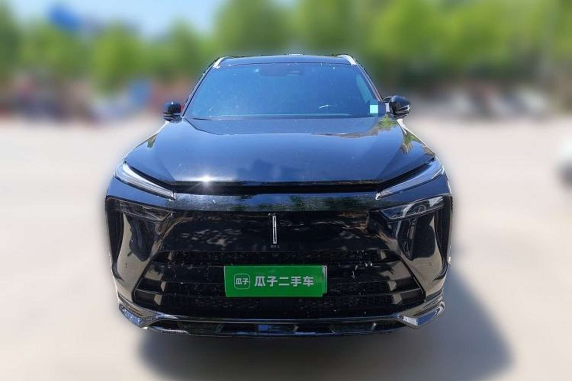 Used Wey Lanshan 2023 Four-Wheel Drive Ultra-Long Range Version Front